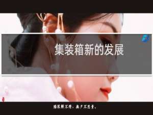 集装箱新的发展