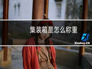 集装箱是怎么称重