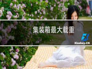 集装箱最大载重