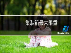 集装箱最大限重