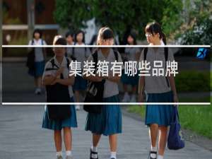 集装箱有哪些品牌