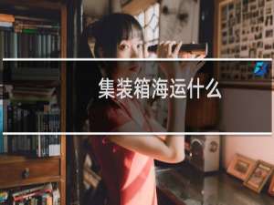 集装箱海运什么