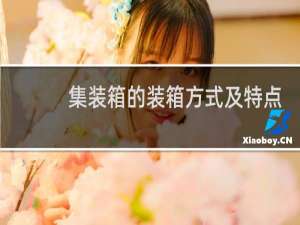 集装箱的装箱方式及特点