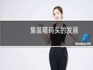 集装箱码头的发展