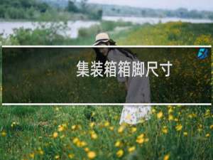 集装箱箱脚尺寸