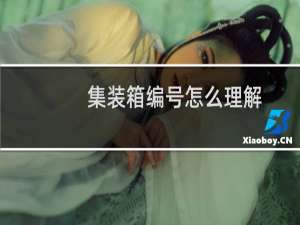 集装箱编号怎么理解