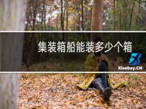 集装箱船能装多少个箱