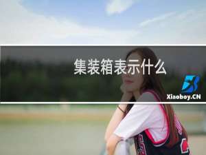 集装箱表示什么