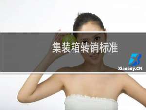 集装箱转销标准