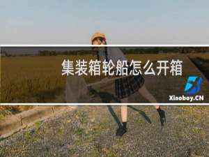 集装箱轮船怎么开箱