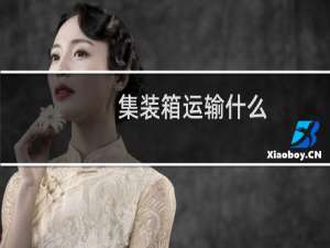 集装箱运输什么