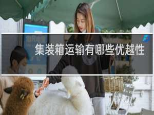 集装箱运输有哪些优越性