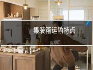 集装箱运输特点