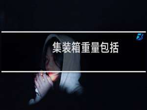 集装箱重量包括