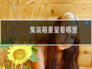 集装箱重量看哪里