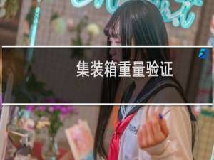 集装箱重量验证