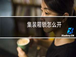 集装箱锁怎么开