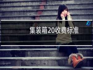 集装箱 收费标准