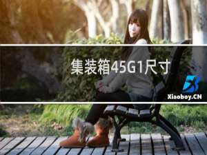 集装箱45G1尺寸