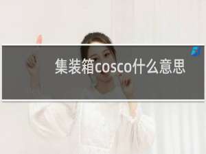 集装箱cosco什么意思