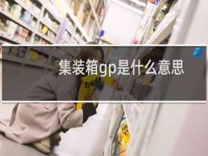 集装箱gp是什么意思