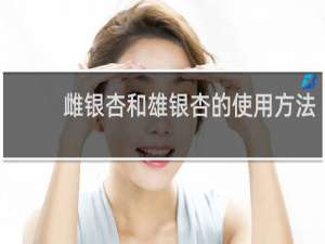 雌银杏和雄银杏的使用方法