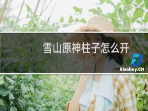 雪山原神柱子怎么开