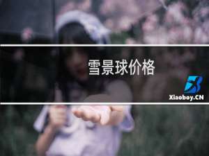 雪景球价格