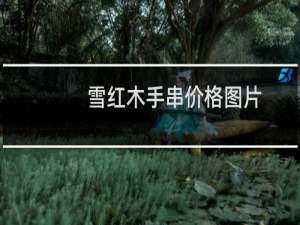雪红木手串价格图片