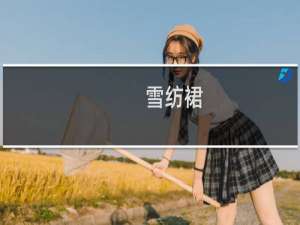 雪纺裙