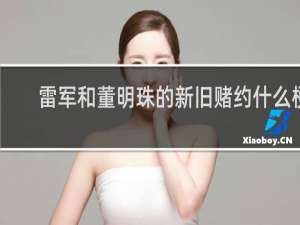 雷军和董明珠的新旧赌约什么梗