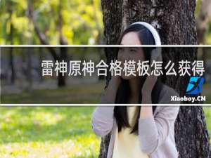 雷神原神合格模板怎么获得