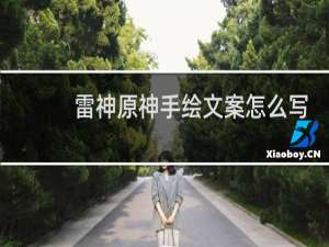 雷神原神手绘文案怎么写