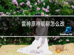 雷神原神昵称怎么改