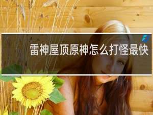 雷神屋顶原神怎么打怪最快