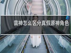 雷神怎么区分真假原神角色