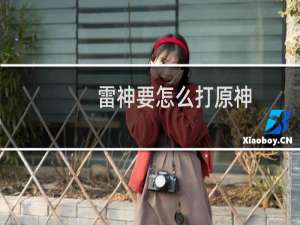 雷神要怎么打原神