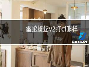 雷蛇蝰蛇v2打cf咋样
