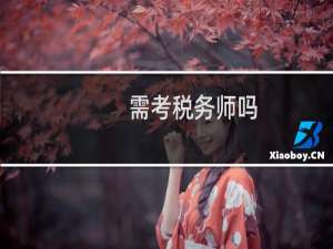 需考税务师吗