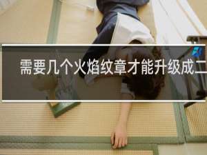 需要几个火焰纹章才能升级成二级