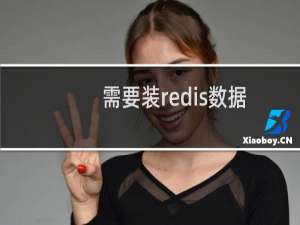 需要装redis数据库，前后端分离的项目，vue前端怎么部署