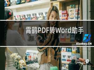 【霄鹞PDF转Word助手】免费霄鹞PDF转Word助手软件下载
