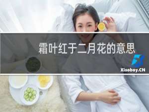 霜叶红于二月花的意思