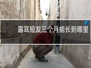 露耳短发三个月能长到哪里