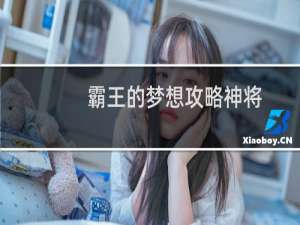 霸王的梦想攻略神将