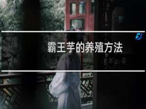 霸王芋的养殖方法
