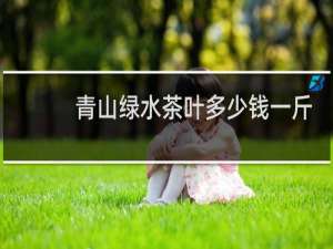 青山绿水茶叶多少钱一斤