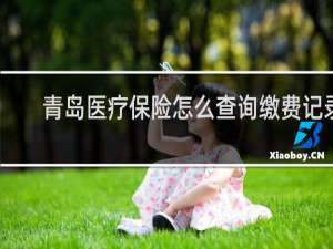青岛医疗保险怎么查询缴费记录