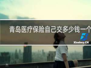 青岛医疗保险自己交多少钱一个月