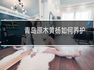 青岛原木黄杨如何养护